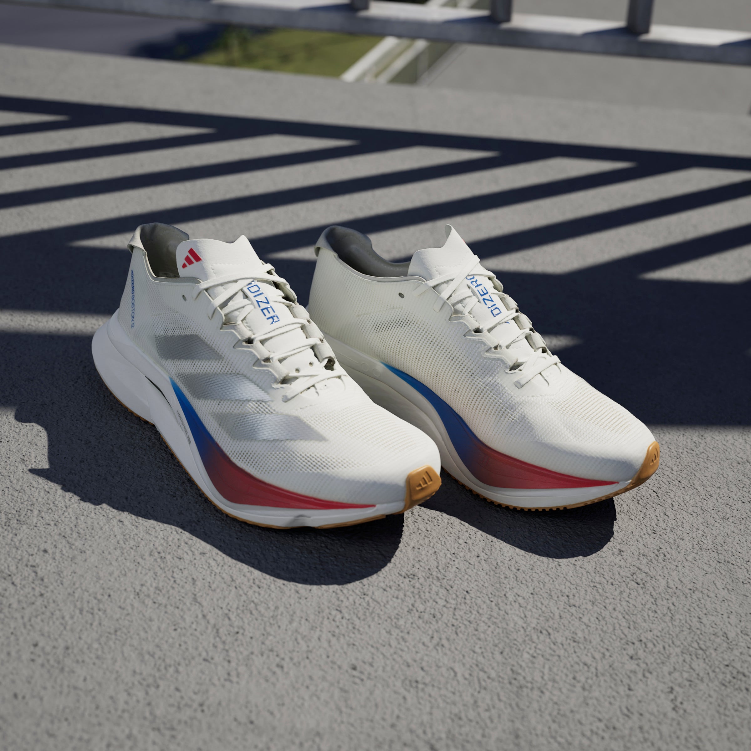 adidas Women's Adizero Boston 12 | Runners' Choice Waterloo