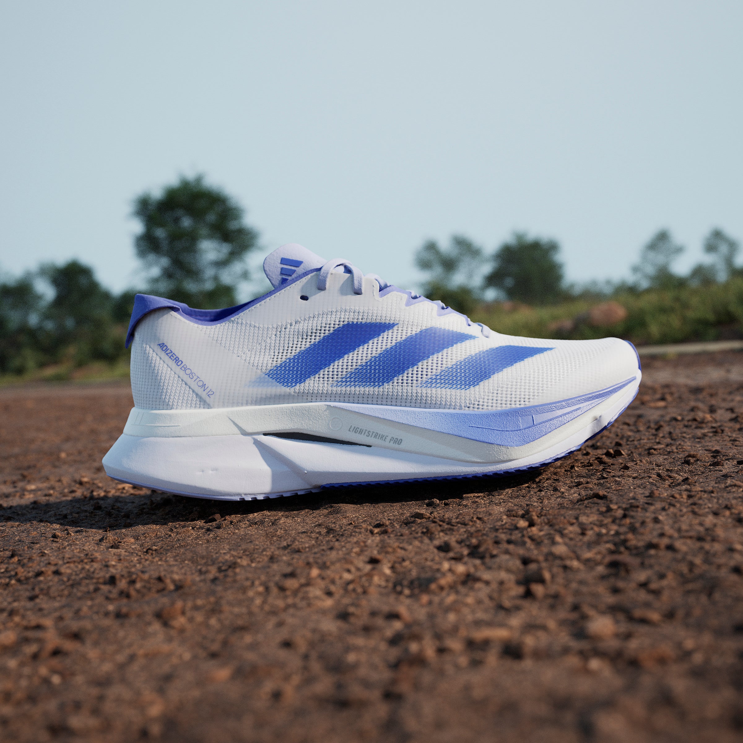adidas Women's Adizero Boston 12 | Runners' Choice Waterloo adidas Women's Adizero Boston 12 | Runners' Choice Waterloo