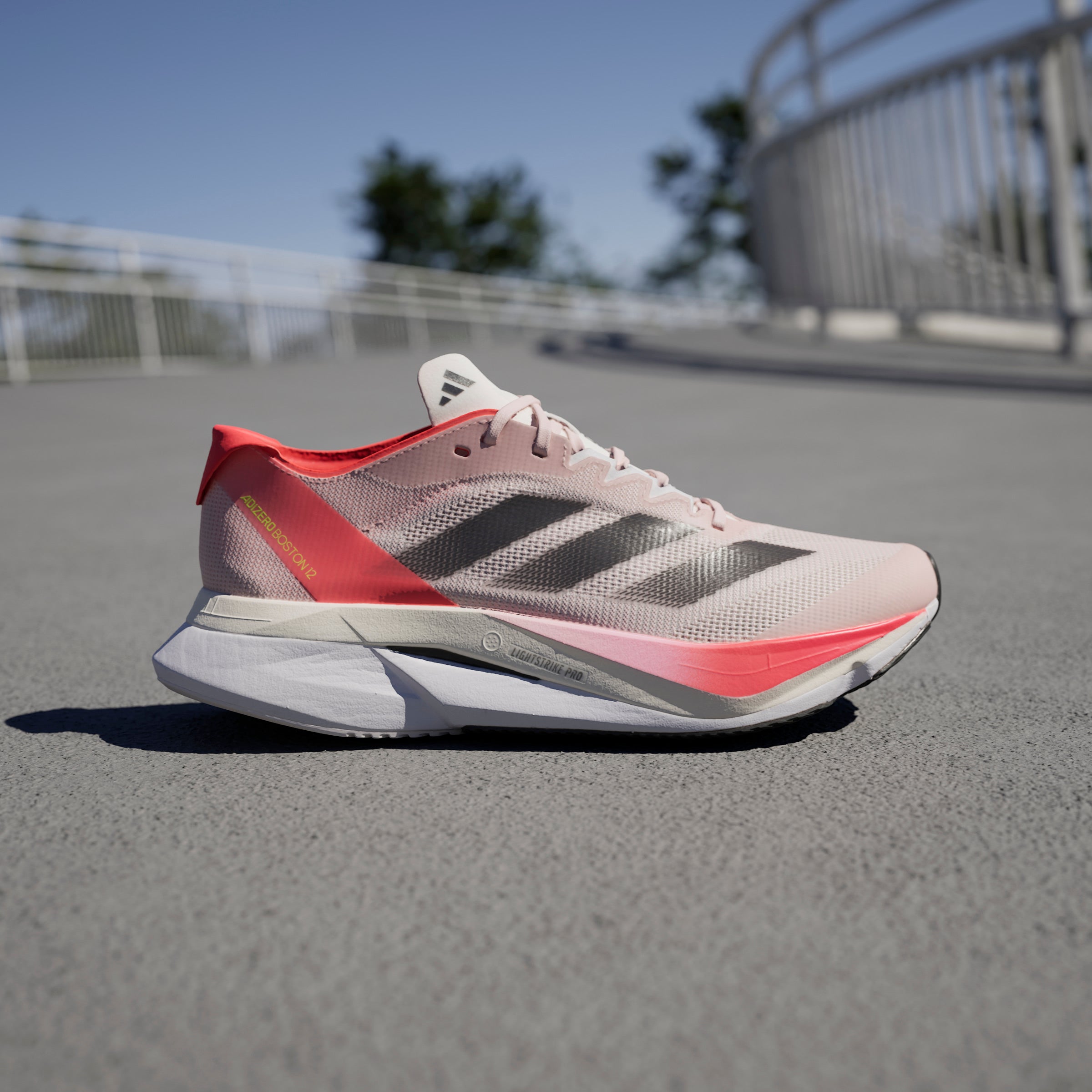 adidas Women's Adizero Boston 12 | Runners' Choice Waterloo adidas Women's Adizero Boston 12 | Runners' Choice Waterloo