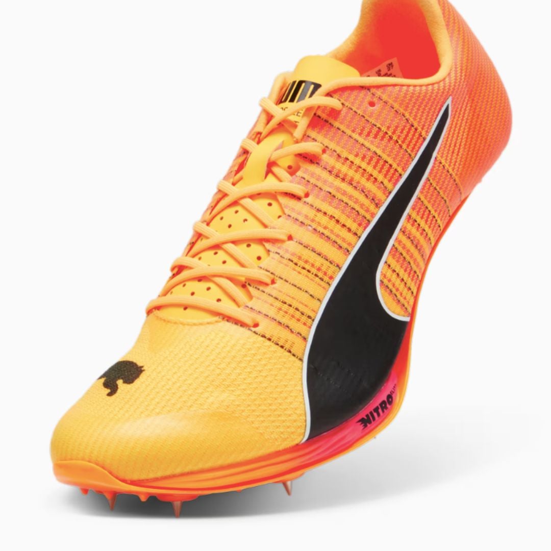 Evospeed sprint online